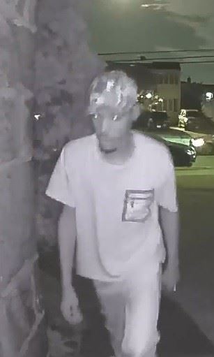 Suspect photo 1 Burglary / North Valley Stream