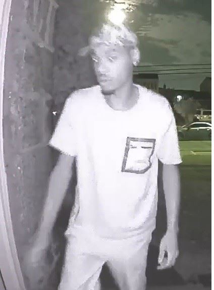 Suspect Photo 2 Burglary / North Valley Stream