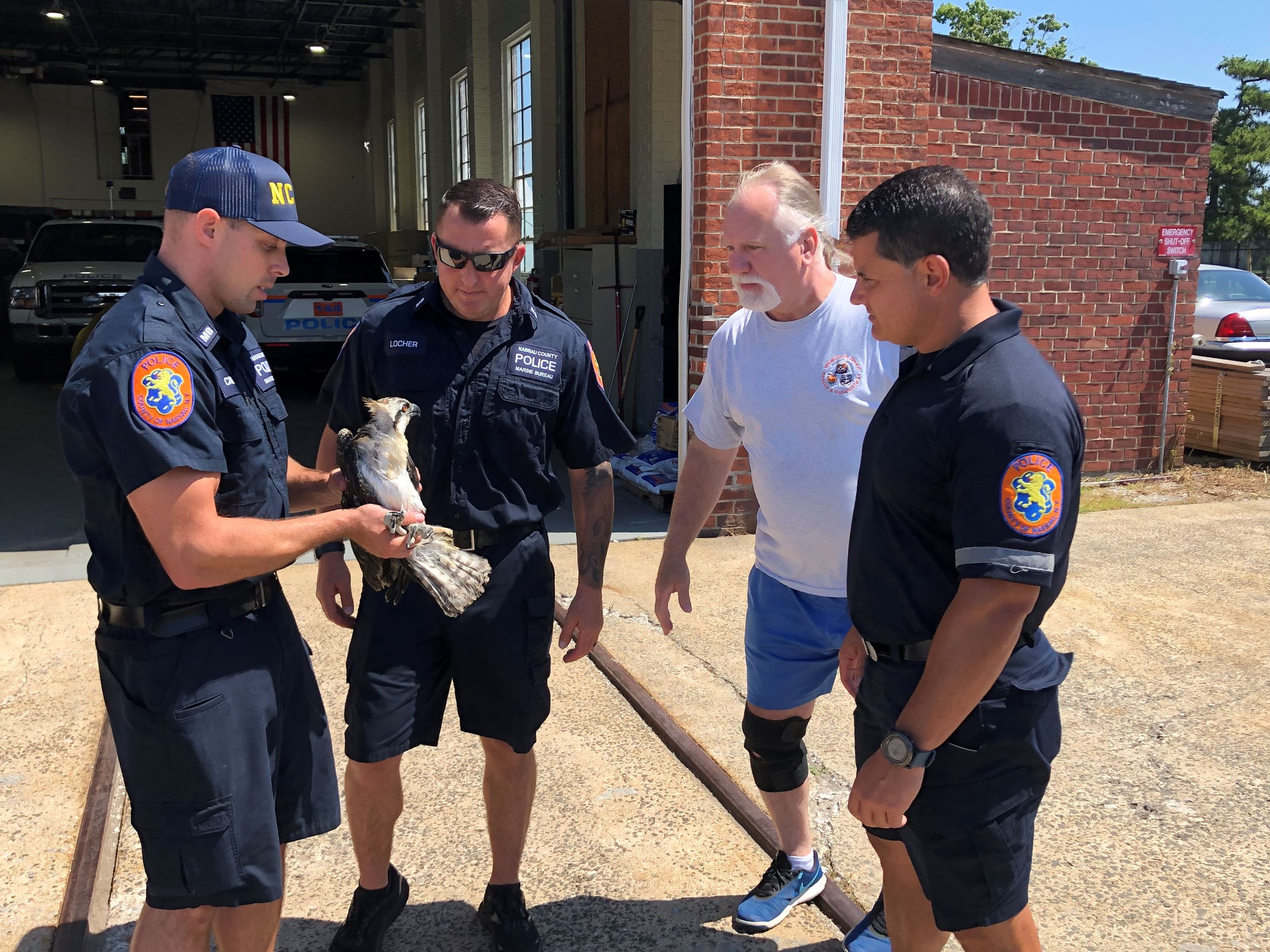 Osprey Rescue 4